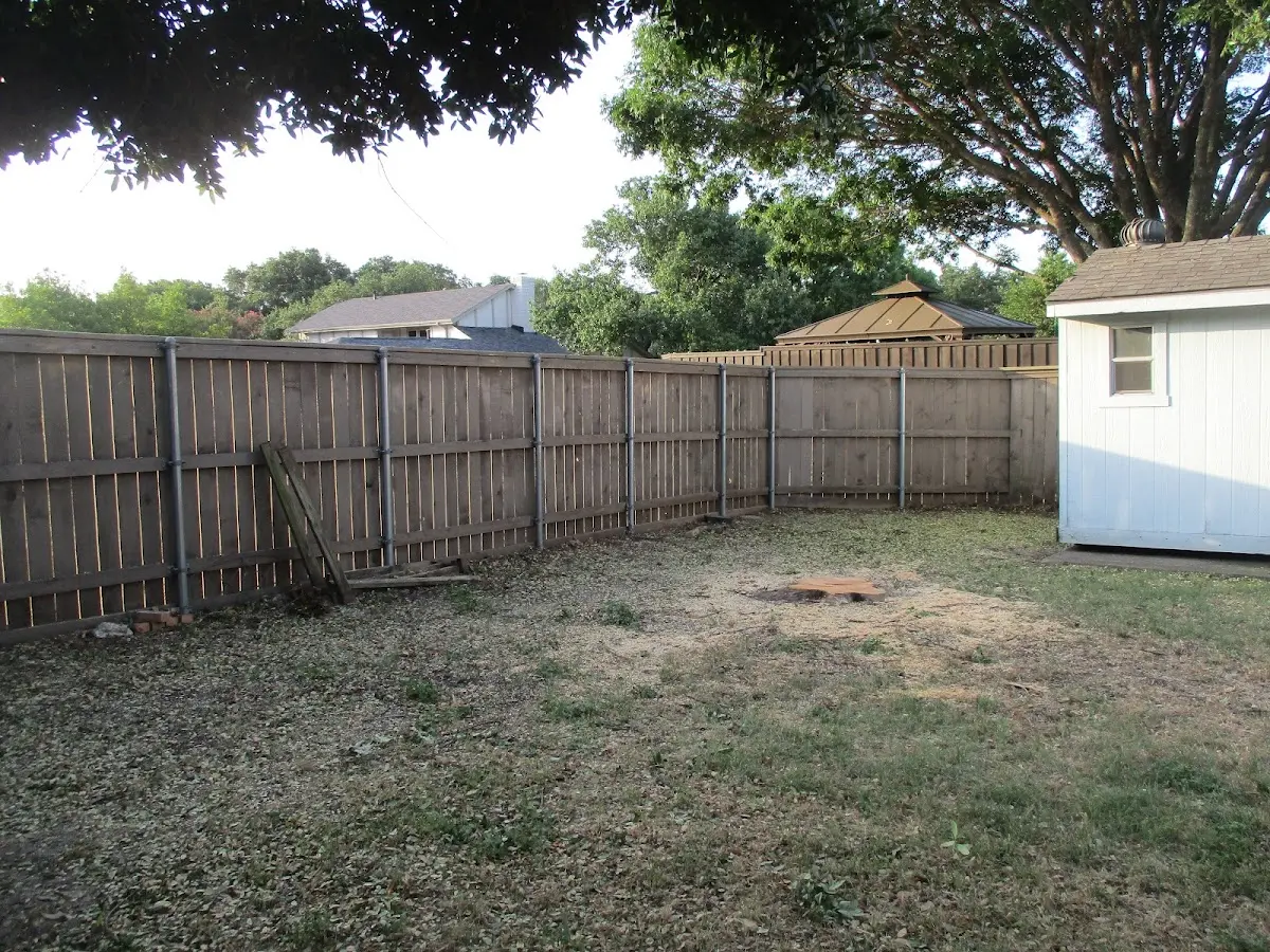 Cleared yard after professional tree removal in Rose Creek